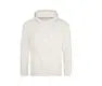 Awdis College Hoodie