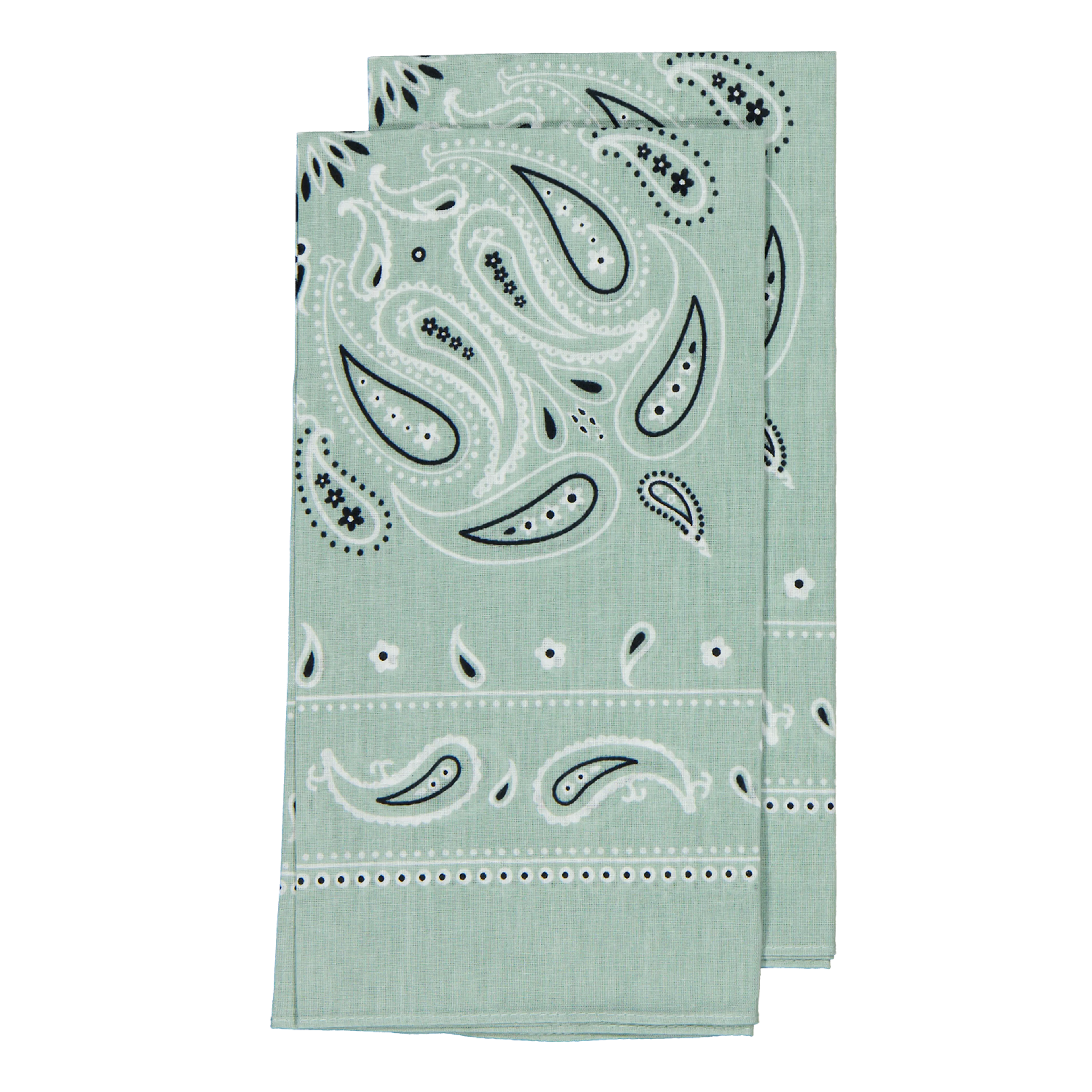 Bandana | Mint