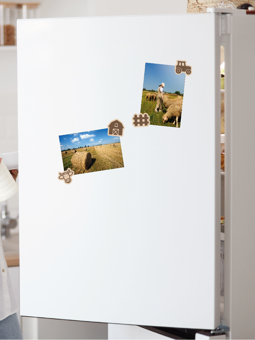 Magneetjes set van 4 | Boerderij